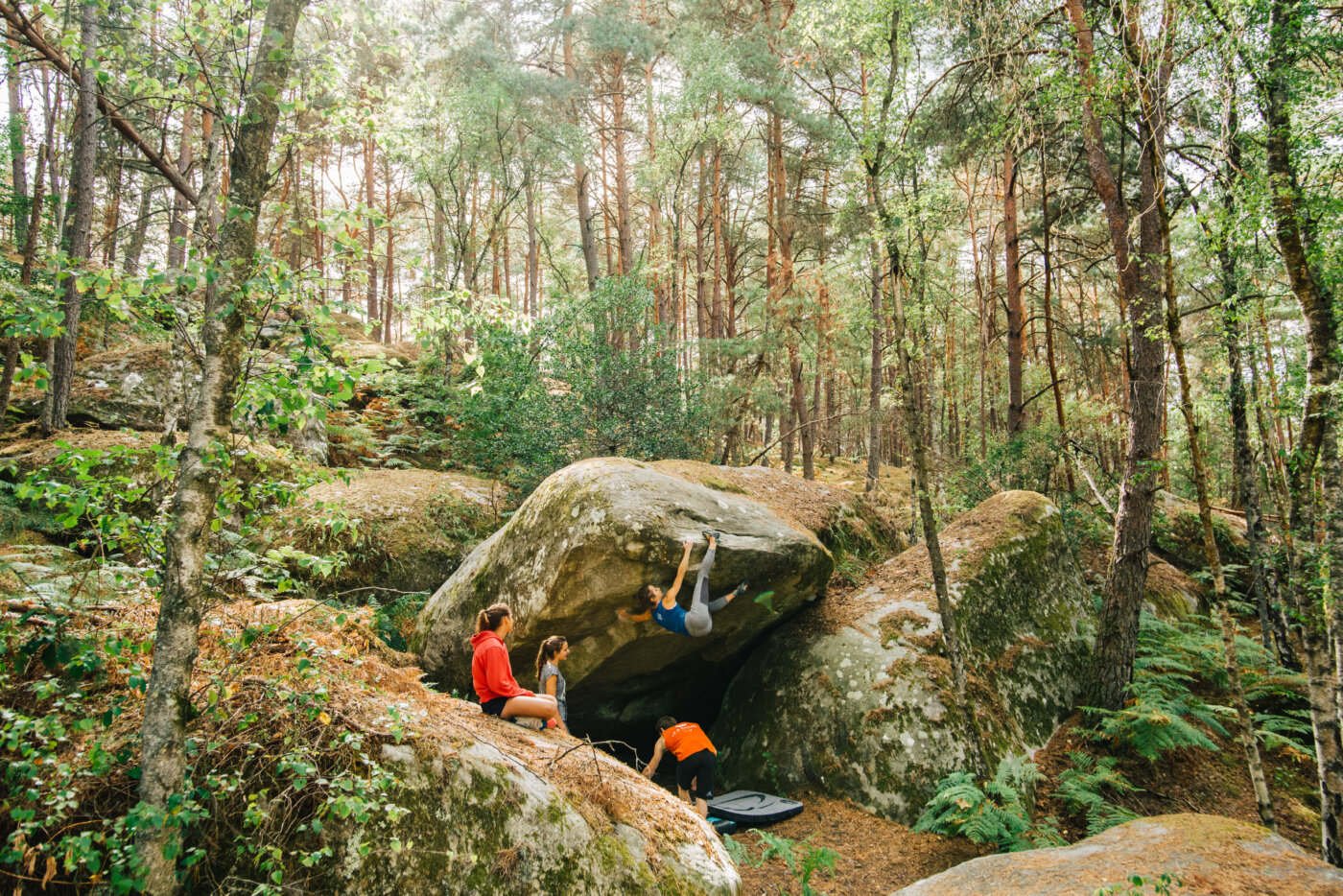 Routes - CLIMBING DISTRICT - Fontainebleau