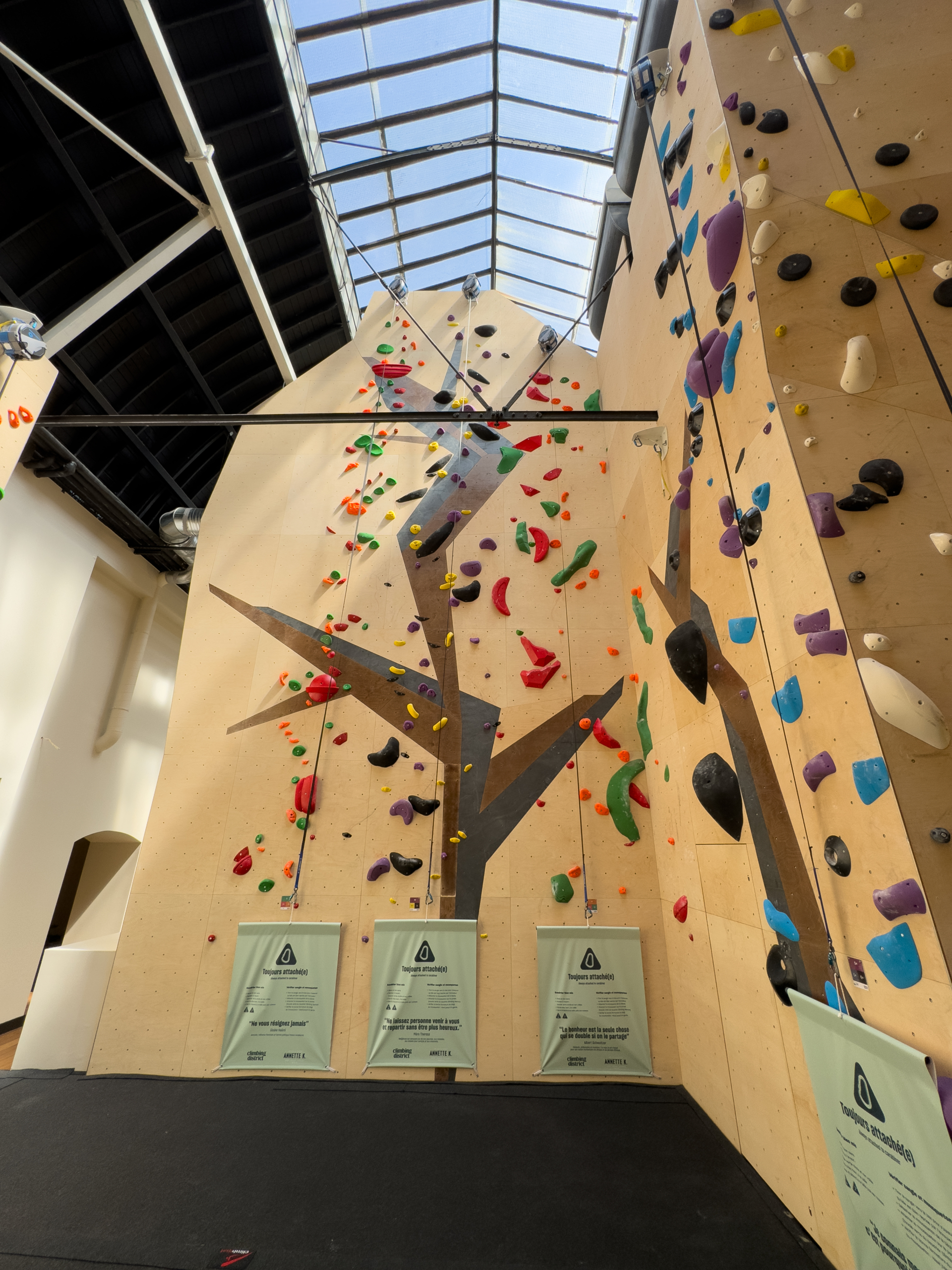 Annette K Montparnasse - Climbing District