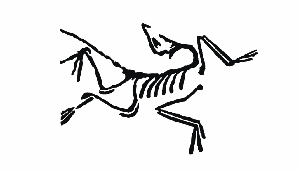 logo arcteyx