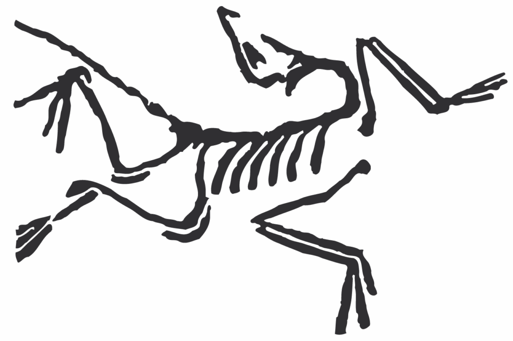 Logo Arc'teryx - Climbing District