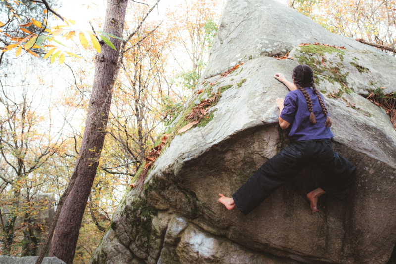 TBA - Fontaineleau © Arthur Delicque