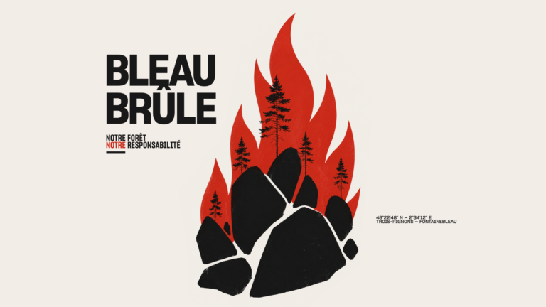 Bleau brûle